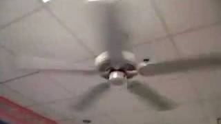 Craftmade Decorative ceiling fans [upl. by Nitsrek518]