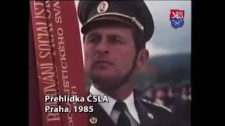 Ejércitos y Poder Militar del Pacto de Varsovia 19551991 [upl. by Adiaj]