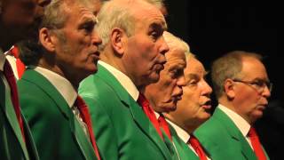 Romsey Male Voice Choir  Bui Doi [upl. by Macdonell793]