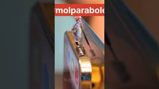 Daily ideas to help and beautiful ways to make money and time molparabol اكسبلور ا بارطاجي [upl. by Carie90]