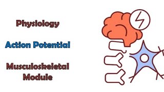 Action potential  physiology  Lecture 2  Musculoskeletal module  Adham saleh [upl. by Deron93]