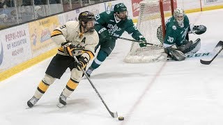 Hockey Highlights  Tech vs Bemidji State  Feb 10 2018 [upl. by Ynnavoj108]