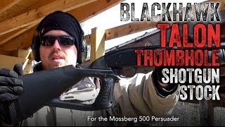 BLACKHAWK Talon Thumbhole Shotgun Stock Review [upl. by Euqinommod]