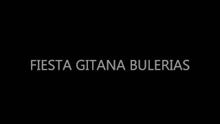 FIESTA GITANA BULERIAS [upl. by Strage]