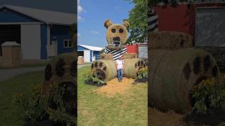 Hay Bear at Ag Progress Days farming farm farmlife justmakingit [upl. by Ojillib]