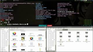 Copy Move Rename Files and Folders  Linux CLI [upl. by Odnanref]