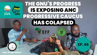 Ep 46 The GNU lives on while the Progressive Caucus dies a slow death DA amp ANC vs EFF amp MK Party [upl. by Reppiks]