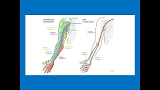 Lymphabfluss vom Arm  Strahlentherapie Prof Hilke Vorwerk [upl. by Fital509]