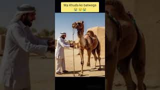 Ma Khuda ko batwoga  Camel 😭 😢😭shorts camel ai animals camelcart [upl. by Akemak445]