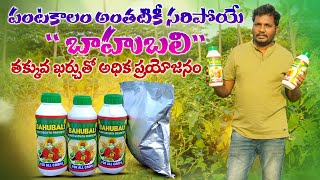 అన్ని రకాల పంటలకు బలాన్ని ఇచ్చే బాహుబలి  Organic Fertilizer Bahubali  AgriTech Telugu [upl. by Beauchamp]