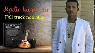 KADIR MARTU OLD music all time Gold music REMIX NEW 2023 [upl. by Aynam]