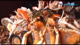 LE SUFFREN restaurant brasserie parisienne fruits de mer paris 75015 wwwpariszoomtvcom [upl. by Irrem577]