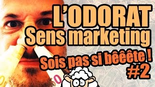 LODORAT sens marketing  Sois pas si bêêête 2 [upl. by Elvyn]