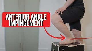 How to do exercises for Anterior Ankle Impingement [upl. by Ydarg242]