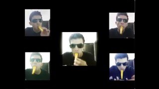 The Final Countdown Kazoo cover [upl. by Llertnor]