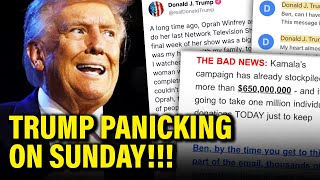 OMG Trump FREAKS OUT Sunday after VERY BAD NEWS [upl. by Odlavu895]