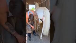 Why does a horse have an iron shoe on its legfacts ytshorts horse [upl. by Theall62]