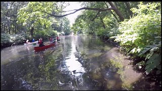 A River Returns  A History of the Bronx River [upl. by Philana525]