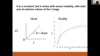 EXP3204 Psychophysics Part 3 [upl. by Aniretac564]