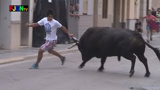 2 Toros Fiestas Barrio Sant Joan 2013  Nules Castellon Bous al Carrer Toros FJGNtv [upl. by Hjerpe624]