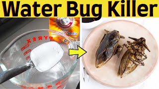 How to get rid of water bug out of your house naturally and fast [upl. by Adi]