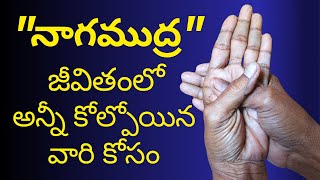 Yoga Mudras 19 quotనాగముద్రquotజీవితంలో అన్నీకోల్పోయి దిక్కుతోచనిస్థితిలో దిక్చూచివంటిదిఅవకాశo ఇస్తుంది [upl. by Acirdna393]