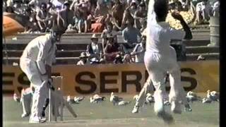 WEST INDIES FAST BOWLERS OF THE 80S  BRUTAL COMPILATION [upl. by Shenan]