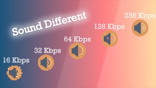 16 vs 32 vs 64 vs 128 vs 256 KBPS MUSIC COMPARISON  SOUND QUALITY DIFFERENCE BETWEEN 2024 [upl. by Ambrogino]