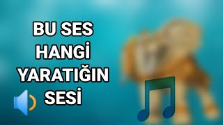 CİLLE  YARATIKLARI SESLERİNDEN TANIYABİLİRMİSIN 🎙🔉 [upl. by Audley]