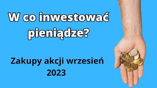 W co inwestować pieniądze Zakupy akcji wrzesień 2023 [upl. by Proud]