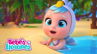 VERANO PLAYA y Bebés Llorones Lágrimas Mágicas ⛱💕 CAPÍTULOS COMPLETOS para niños en español [upl. by Byrn]