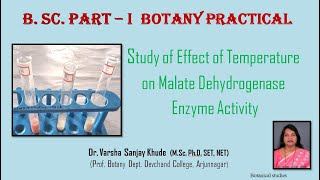 Study of Effect of Temperature on Enzyme Malate Dehydrogenase Activity [upl. by Pagas]