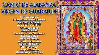 Alabanzas a la Virgen de Guadalupe💐La Virgen De Guadalupe🙏Canciones a la Virgen De Guadalupe 2023 [upl. by Shalom]