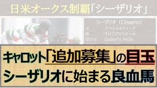 【シーザリオの孫】超良血が追加募集「キャロットクラブ」追加募集にシーザリオ孫！父リアルスティールでダートも狙える血統☆ [upl. by Adriana186]