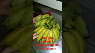 Dica amadurecer banana rapidamente reaproveitar alimentacaosaudavel delmirogouveia terra [upl. by Naasah]