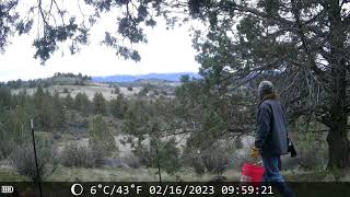 Maxdone Wifi Trail Cam Footage [upl. by Jami]