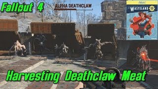 Deathclaw Meat Harvest  Fallout 4 Wasteland Workshop DLC [upl. by Diann]