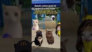 o meme de escola mais útil pra você vtuber memes [upl. by Letniuq]