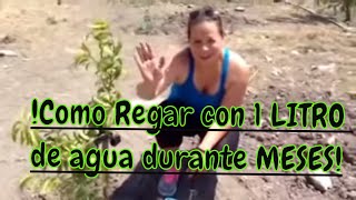 Cómo regar tus plantas con un litro de agua durante meses FACIL RAPIDO ECONOMICO RIEGO SOLAR [upl. by Nary60]