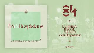 84  La hierba bajo el asfalto feat Despistaos Official Audio [upl. by Kerin]