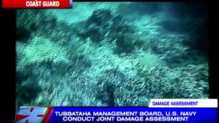 Tubbataha reef damage reaches more than 4000sqm [upl. by Yrad]