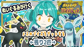 【ポケモン バイオレット】メスのブイズをゲットする！！残り２匹！ [upl. by Ydeh]