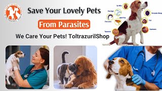 The Importance of Parasite Control for Healthy Pets [upl. by Anoif]