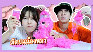 สุ่มน้องหมา ด้วยที่โกนขน  Ochymy Toys [upl. by Timothea]