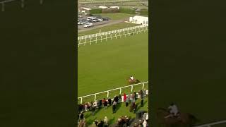 A dramatic finish… horse horseracing racingtv sport britishhorseracing [upl. by Kahaleel]