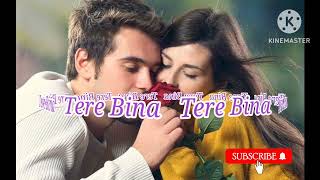 Tere Bina  New Hindi Romantic Song 2024  New Album Song  New Hindi Album Song 2024  New Song [upl. by Nosyarg992]