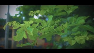 Canon EOS 1300d 1855mm lens Video test 1080p Shoting by Salim Dharwad [upl. by Geordie]