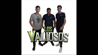 Los Valiosos  Sigan Atentos  Cover en Vivo [upl. by Ahtnammas465]