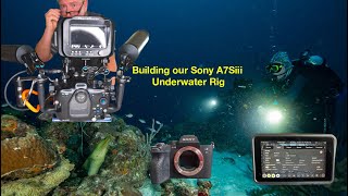 Building Our Sony A7Siii Underwater Rig  A Divers Life [upl. by Nahgem]