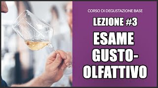 3 A lezione di degustazione lanalisi gustoolfattiva [upl. by Deirdre]